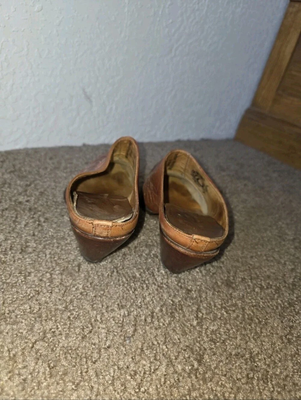 Charlie 1 Horse used conditions